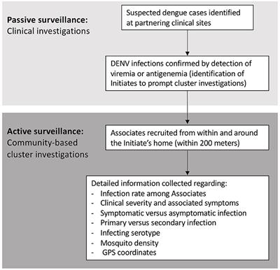 Key Findings and Comparisons From Analogous Case-Cluster Studies for Dengue Virus Infection Conducted in Machala, Ecuador, and Kamphaeng Phet, Thailand